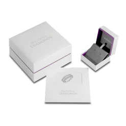 Beaverbrooks 9ct Yellow and White Gold Diamond Drop Earrings