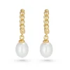 Beaverbrooks Yellow Gold Plated Freshwater Cultured Pearl Drop Earrings