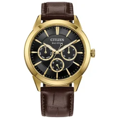 Citizen Rolan 40mm Yellow Gold Tone Eco-Drive Men’s Watch