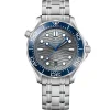 OMEGA Seamaster Diver 300M 42mm Co-Axial Master Chronometer Automatic Men's Watch