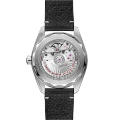 OMEGA Seamaster Railmaster 38mm Automatic Men’s Watch