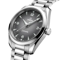OMEGA Seamaster Railmaster 38mm Automatic Men’s Watch