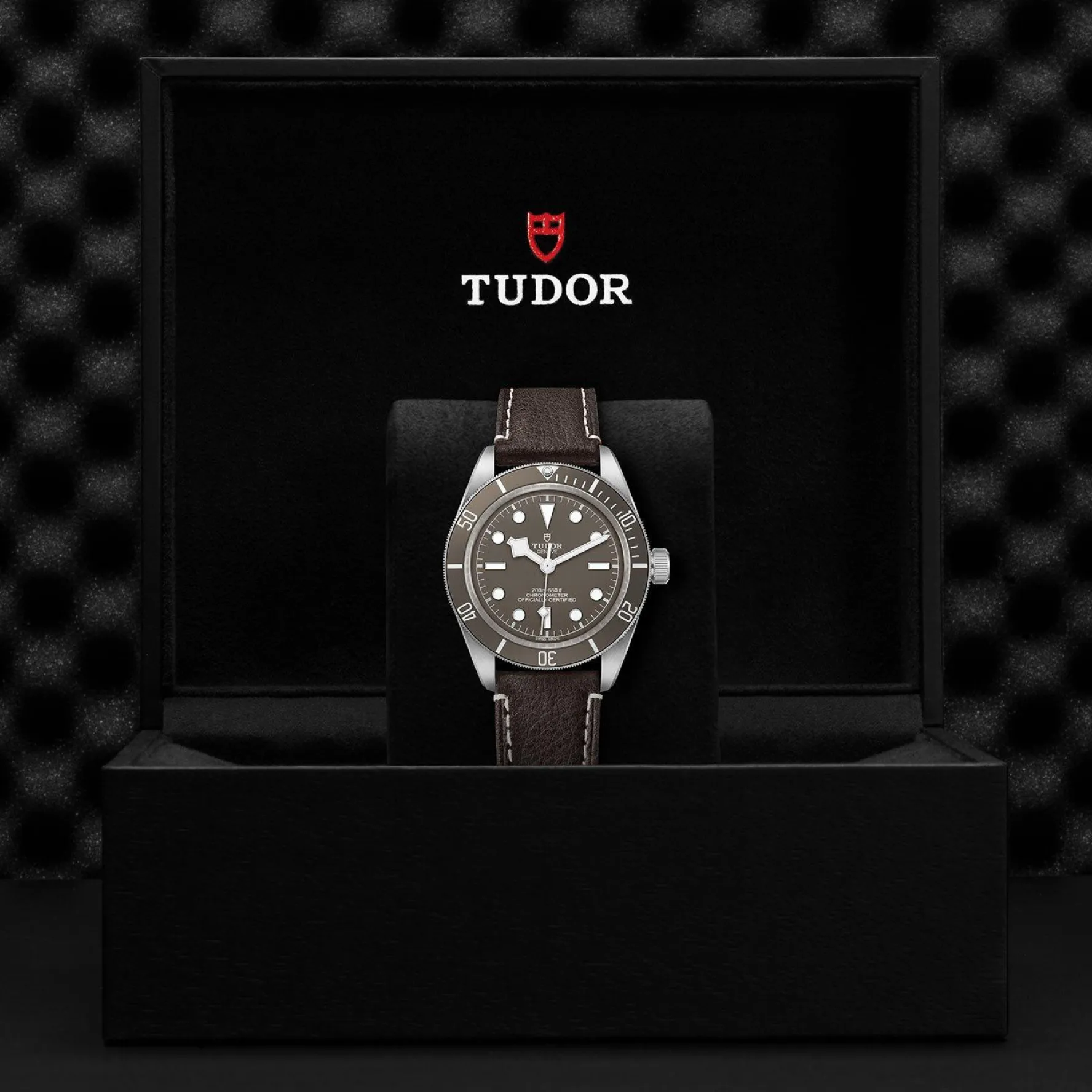 TUDOR Black Bay 58 925 39mm Men's Watch