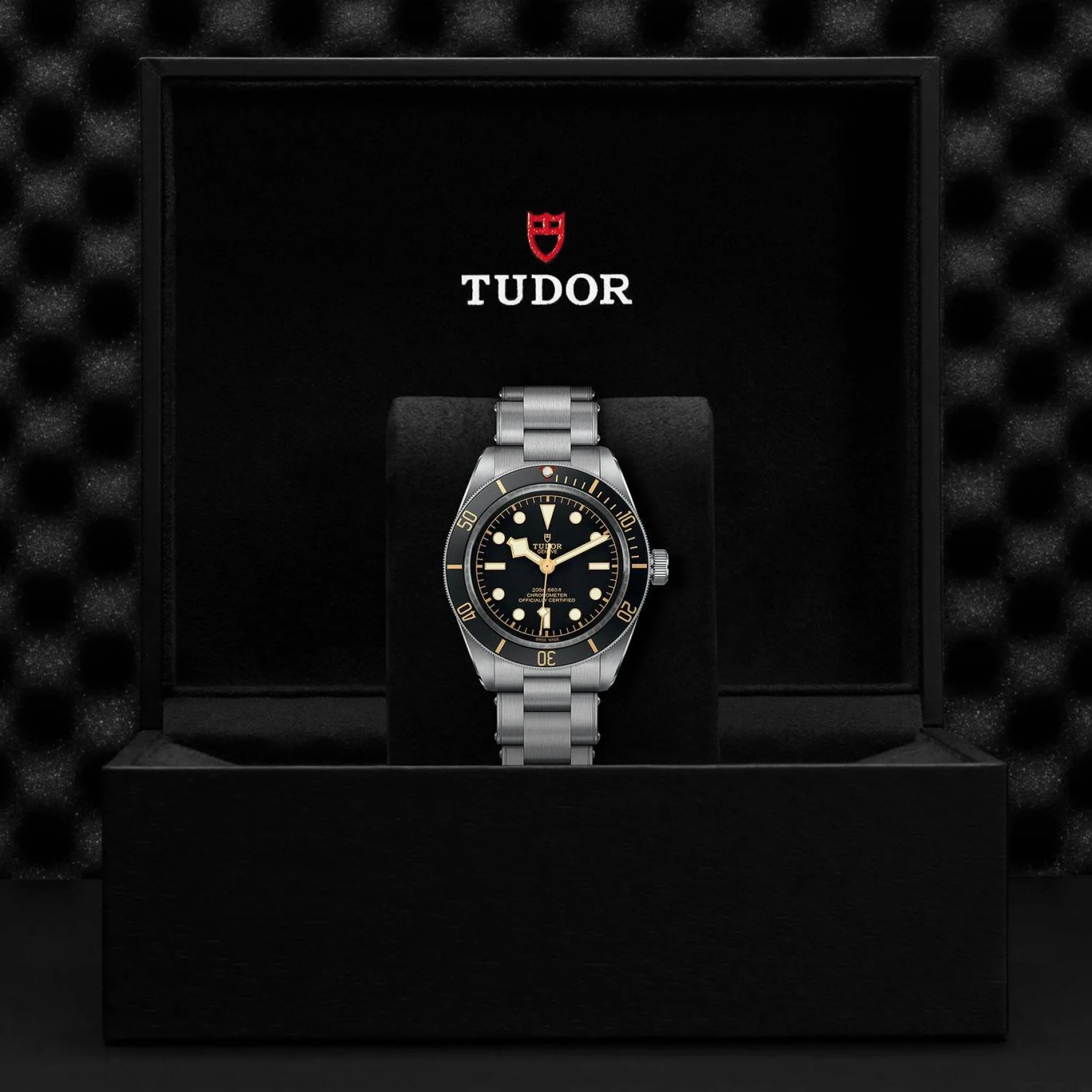 TUDOR Black Bay 58 39mm Automatic Men's Watch