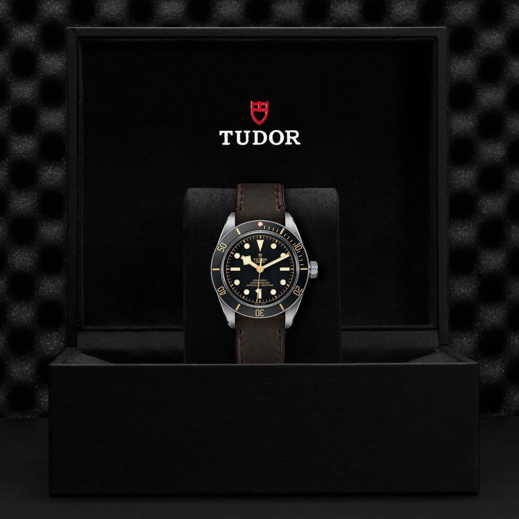 TUDOR Black Bay 58 39mm Automatic Men’s Watch