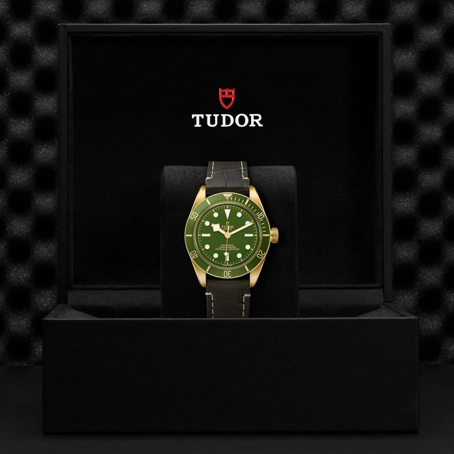 TUDOR Black Bay 58 39mm 18ct Yellow Gold Automatic Men’s Watch