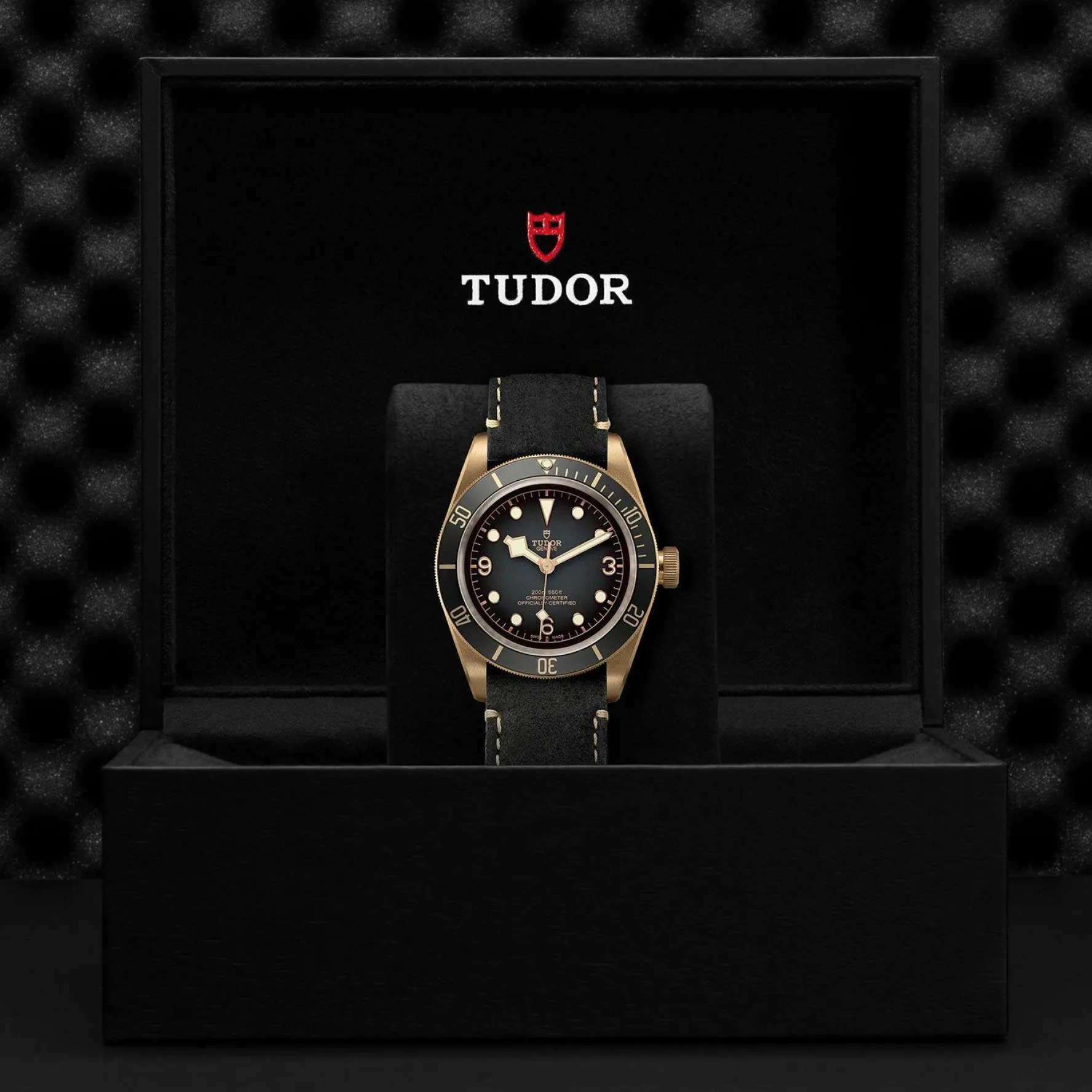 TUDOR Black Bay Bronze 43mm Automatic Men's Watch