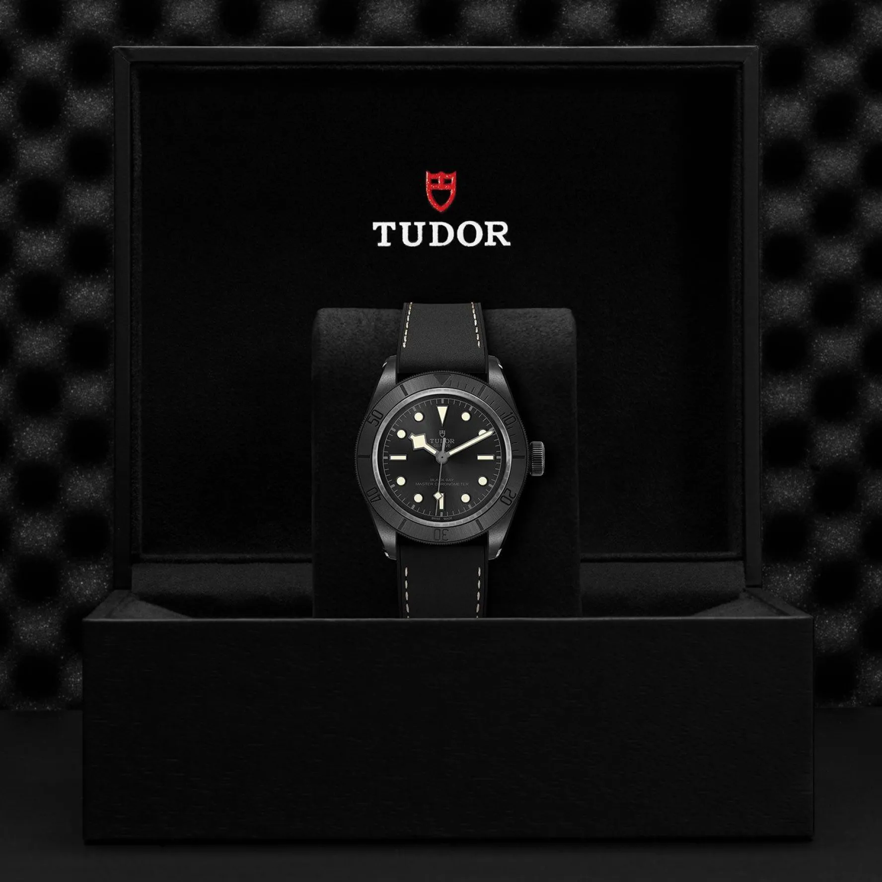 TUDOR Black Bay Ceramic 41mm Automatic Men's Watch