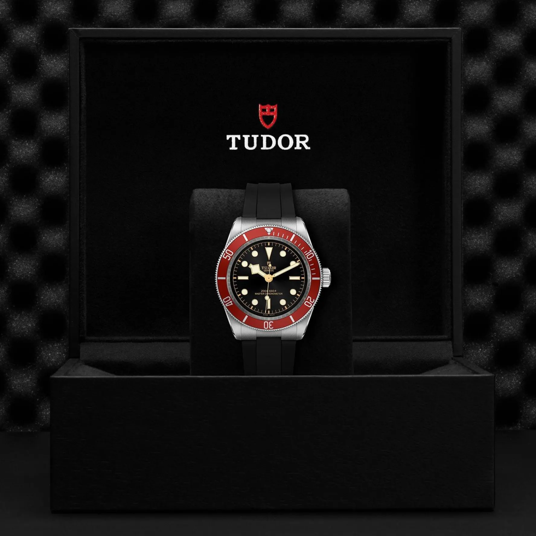 TUDOR Black Bay 41mm Automatic Men’s Watch