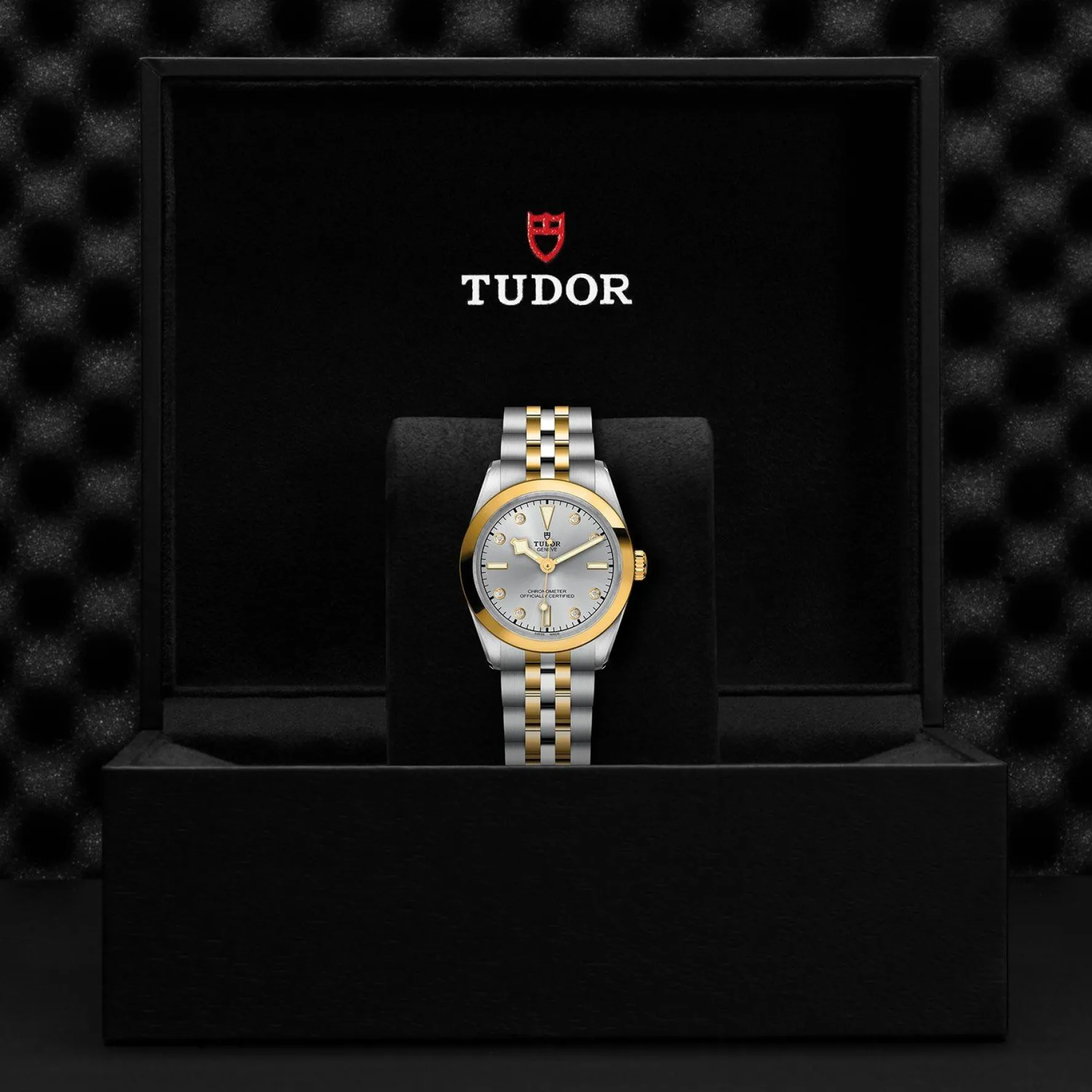 TUDOR Black Bay One S&G 31mm Diamond Automatic Ladies Watch