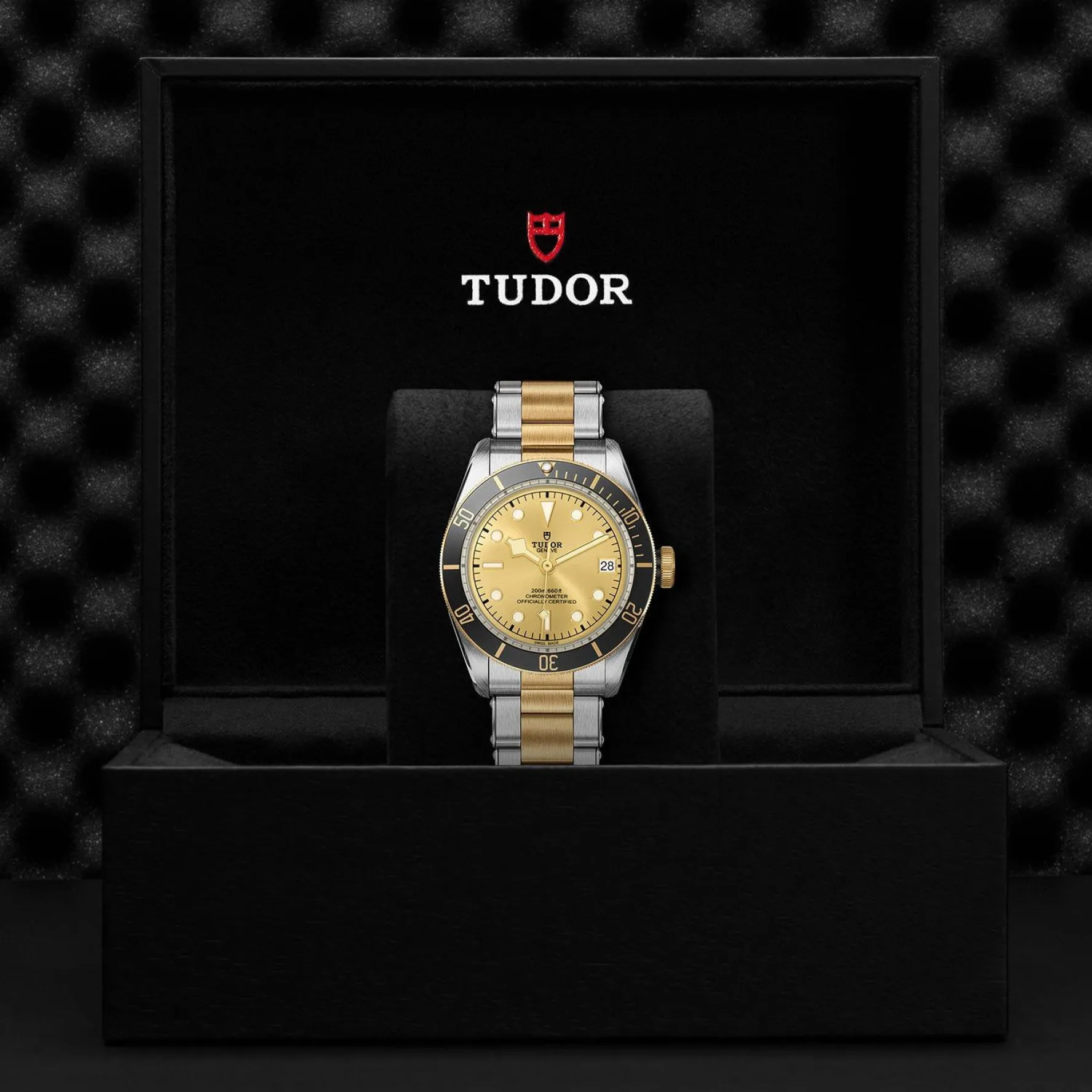 TUDOR Black Bay S&G 41mm Automatic Men's Watch
