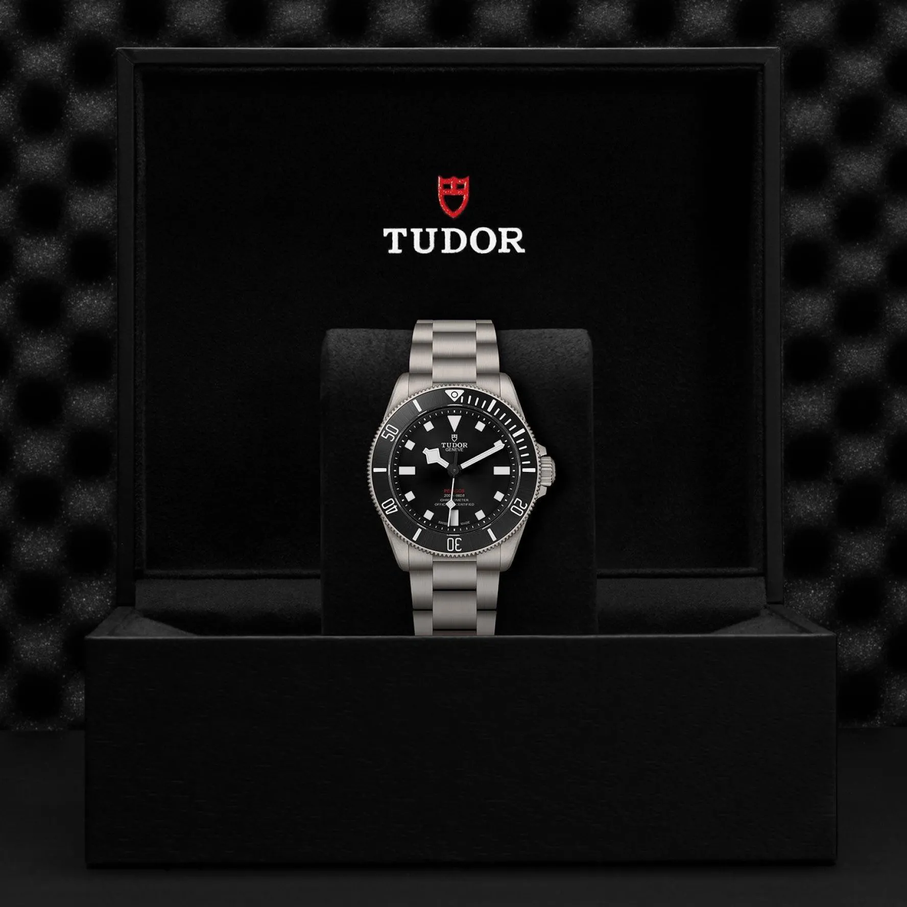 TUDOR Pelagos 39mm Titanium Automatic Men’s Watch
