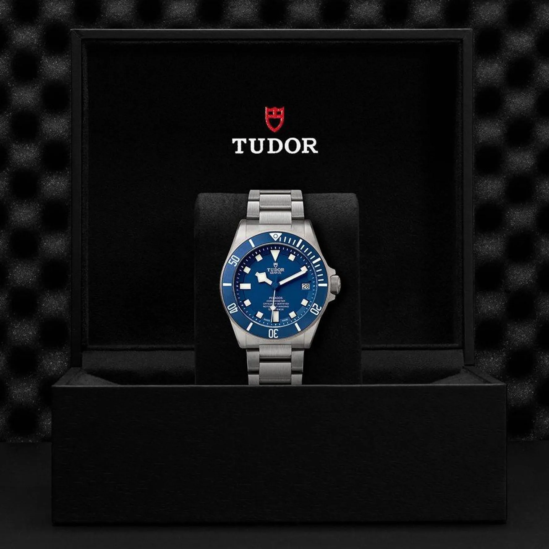 TUDOR Pelagos 42mm Titanium Automatic Men's Watch